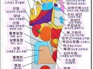 혼자서 해보는 나의 건강체크