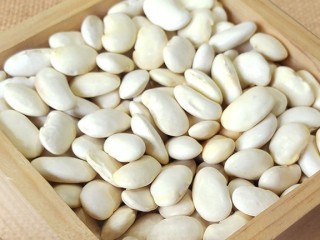 흰콩을 먹으면 공부를 잘한다?